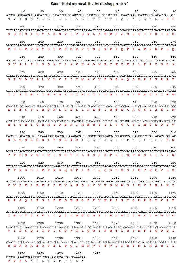 Bactericidal permeability-increasing protein 1의 전장