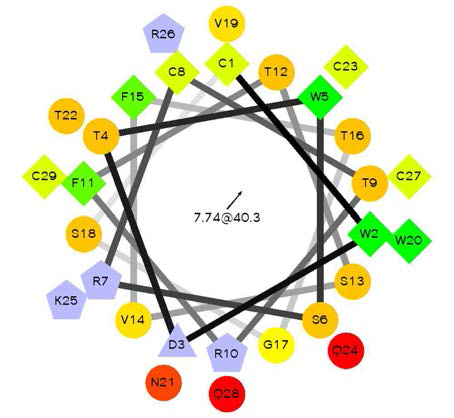 갯지렁이 Theromacin의 알파-나선형 영역의 helical wheel diagrams