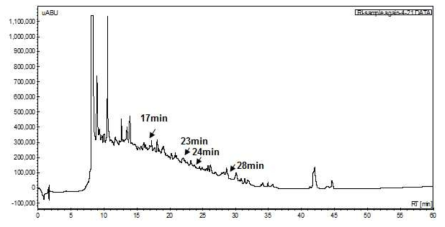 면역유도 갯지렁이의 HPLC peak