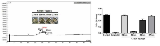 17분 분획의 HPLC peak 및 항균활성 분획