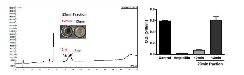 23분 분획의 HPLC peak 및 항균활성 분획