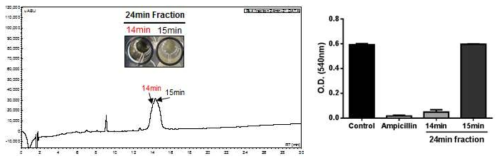 24분 분획의 HPLC peak 및 항균활성 분획