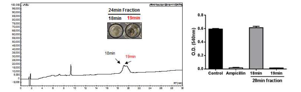 28분 분획의 HPLC peak 및 항균활성 분획