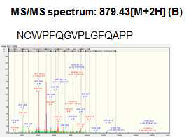 23분 분획의 MS/MS sequencing 결과