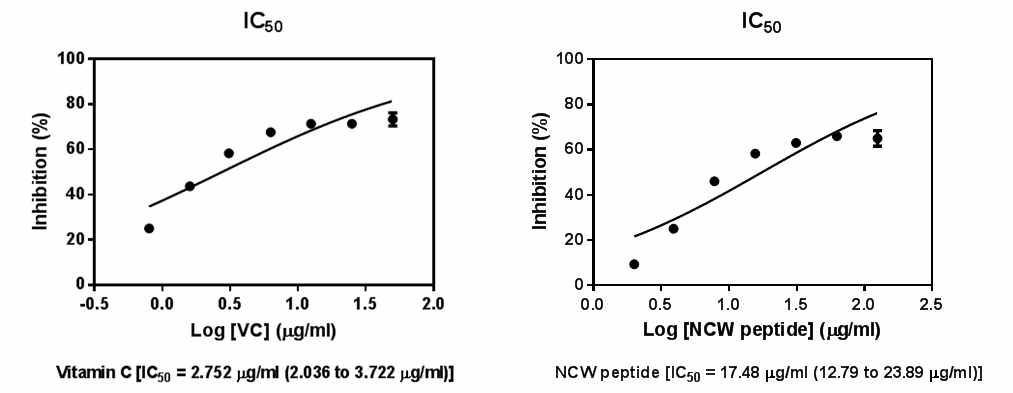 NCW peptide의 항산화 IC50 검토