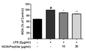 NCW peptide의 MDA 억제 효능 분석