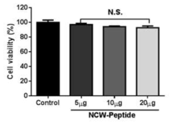 NCW peptide의 세포내 독성검토