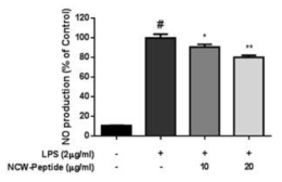 NCW peptide의 NO 생성 억제 효능 검토