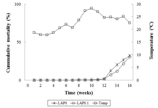 Cummulative mortality of olive flounder fed the experimental diets containing the lugworm antimicrobial peptide for 16 weeks