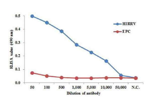 HRP가 표식된 항 HIRRV 항체의 반응 (ELISA 결과)