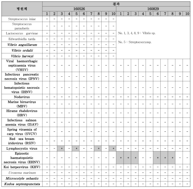 비봉수산(넙치)의 질병학적 분석