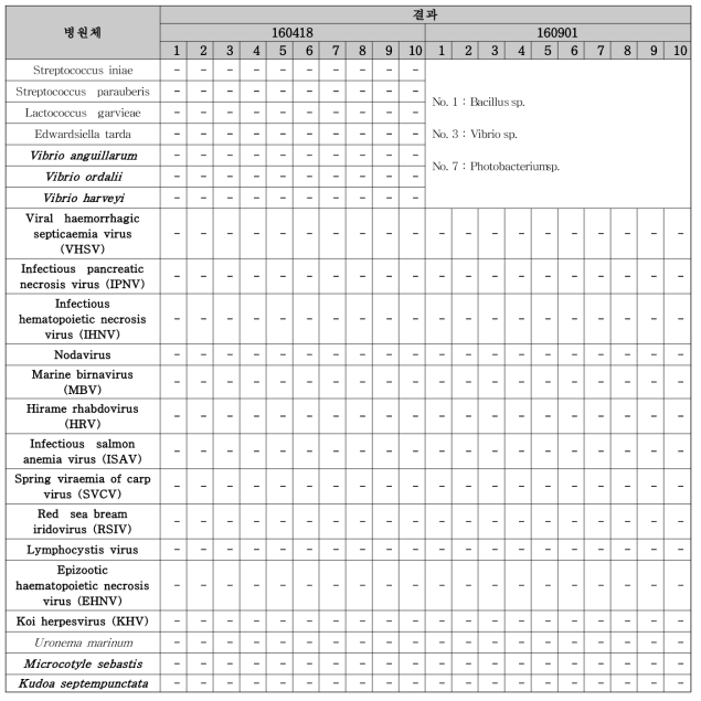 한바다세계수산(참숭어)의 질병학적 분석