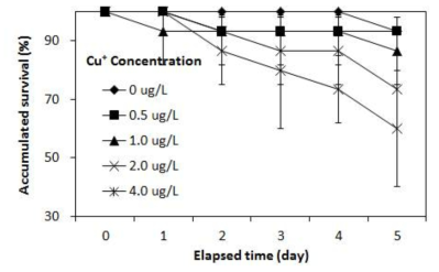 저농도 금속성이온 (CuSO4)에 노출된 명태 Theragra chalcogramma 부화자어의 사육일자에 따른 노출농도별 생존율 변화(%)