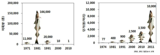 1970년대 이후 명태의 어획량과 수협위판가격의 변화