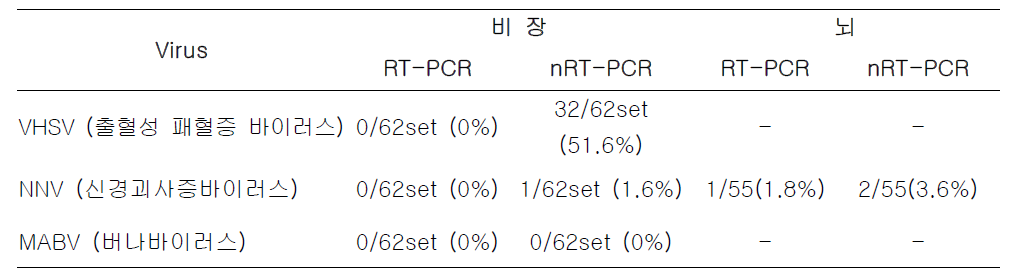 RT-PCR 결과