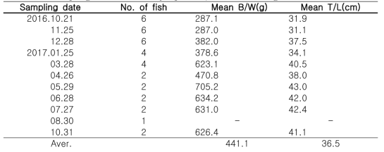 Sampling of adult walleye pollock, Gadus chalcogrammus