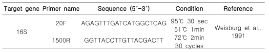 Oligonucleotide primers used for PCR of 16S rDNA