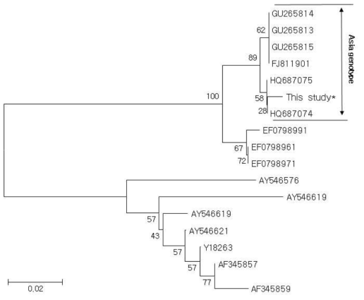 Molecular phylogenetic trees showing the genetic relationships among 17 VHSV based on G gene sequences. Analysis was performed using the MEGA 6 program. The scale bar indicates evolutionary distance