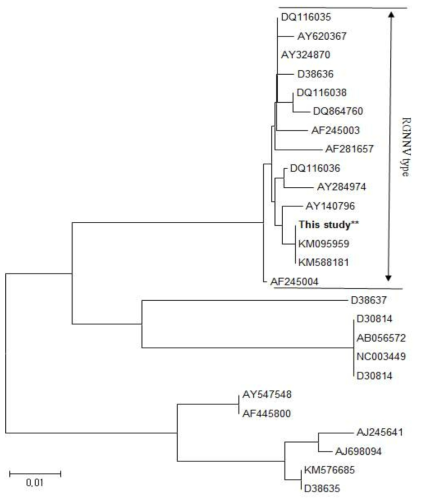 Molecular phylogenetic trees showing the genetic relationships among 27 NNV based on coat protein gene sequences. Analysis was performed using the MEGA 6 program. The scale bar indicates evolutionary distance