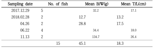 Sampling of Group 1 walleye pollock (immature fish)