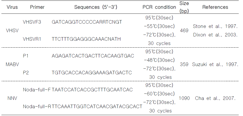 Oligonucleotide primers used for viral diseases monitoring