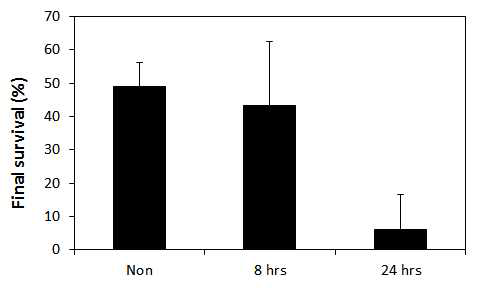 저온 처리 시간에 따른 수정란에서 부화한 자어들의 사육과정에서의 생존율(%)
