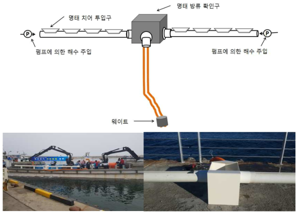 2차로 개발된 중층 방류 장치와 방류 현장 적용 사진