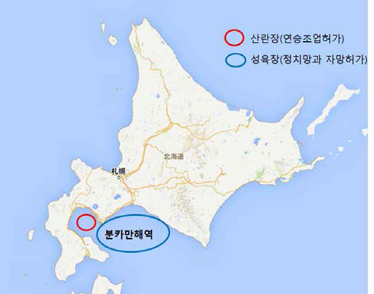 일본 북해도 분카만 인근 산란장과 성육장 분포(타지역은 표시 안함)