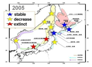 극동아시아 명태자원 현황 (Changes of inferred spawning areas of Walleye pollock Theragra chalcogramma based on the Global Warming Scenario by the Earth Simulation System, Japan, Sakurai, 2010)