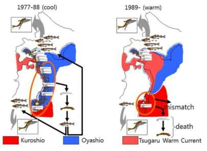 일본 태평양 측 명태 계군의 변화원인 규명(Suzaki et al., 2002)