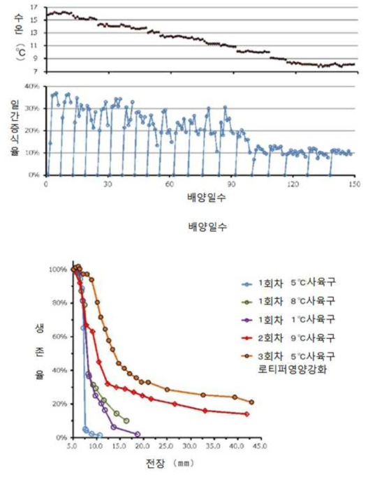 저온 로티퍼의 배양수온 강하에 따른 일일 성장률과 이 저온 적응 로티퍼를 이용한 명태사육에서의 명태 자어 생존율 비교