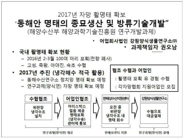 2017년 강원 북부 자망 활명태 확보를 위한 체계도
