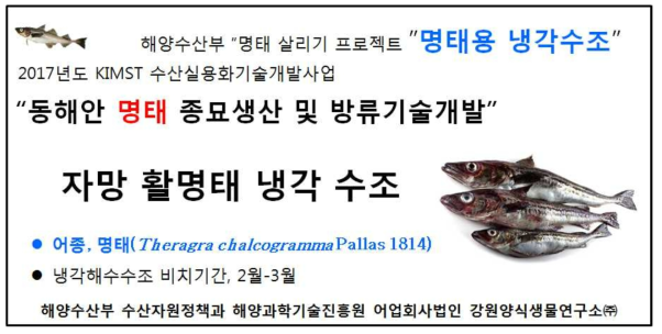 4개 수협, 1개어항(고성-대진과 아야진, 죽왕, 속초 및 양양수산)에 설치한 냉각 수조 안내문