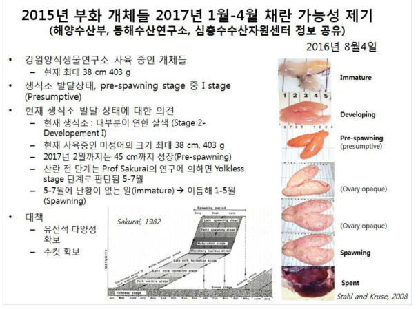 2016년 8월4일 해양수산부 수산자원정책과, 동해수산연구소 및 심층수수산자원 센터와의 정보공유 자료