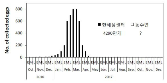 강원도 한해성수산자원센터와 동해수산연구소에서의 명태 수정란 자연채란량