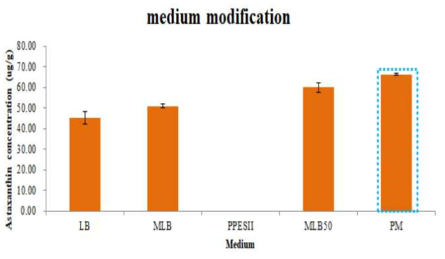 배지의 종류에 따른 astaxanthin 생산량