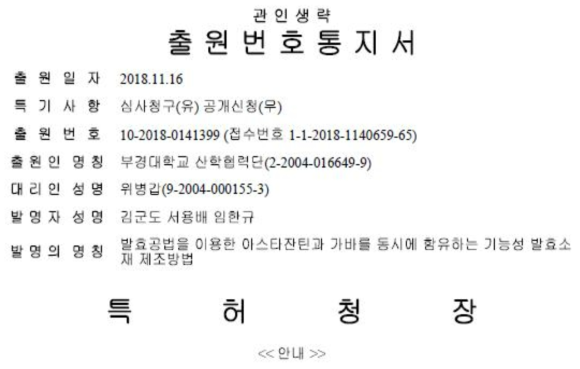 특허출원 내용