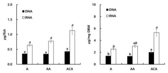 실험종료 후 알테미아 영양강화 실험구별 마리당, 건조중량 mg 당 DNA, RNA 함량(ug). 일반 영양강화 (A), 일반 영양강화+해양 미생물 유래 astxanthin (AA), 일반 영양강화+시판용 astaxanthin (ACA)