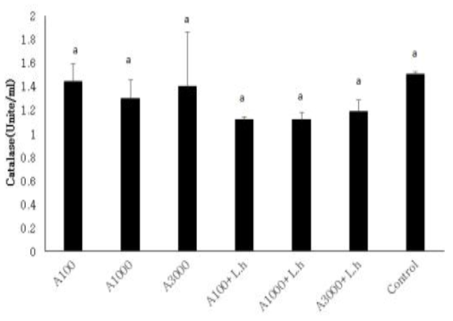 17주간 먹이 공급 후 H. discus hannai의 Catalase(CAT) 측정