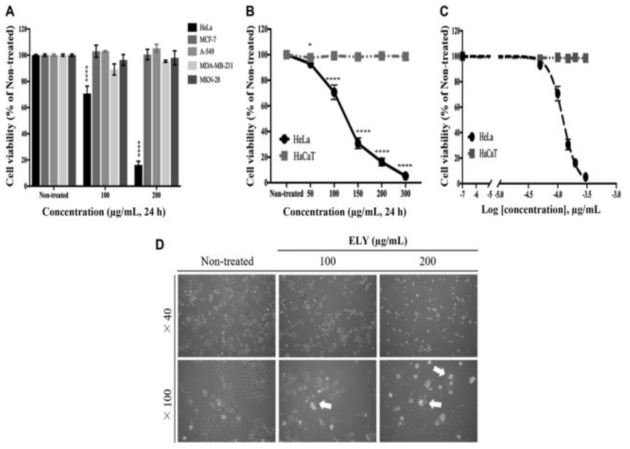 The cytotoxicity of ELY on cell viability. (A) HeLa, MCF-7, A549, MDA-MB-231, and MKN-28 cells were treated with indicated concentrations of ELY for 24 h and cell viability determined by WST-1 assay. (B), (C) Cell viability and IC50 of ELY were compared between HeLa cells and non-cancerous HaCaT cells treated with ELY. (D) Cell population and morphology were visualized by an inverted microscope at × 40 and × 100 magnification. All values in the graph represent as mean ± SD and experiments were performed in triplicates, independently. *p < 0.05 and ****p < 0.0001 indicates statistical significances compared to control