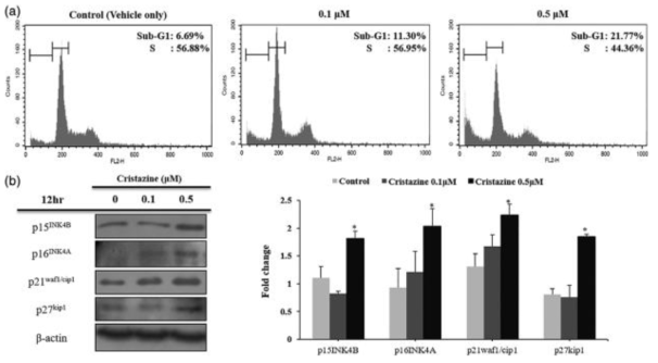 The effect of cristazine on cell cycle arrest. The distribution histogram of the nuclear DNA detected by flow cytometry and indicated based on the cell cycle phase (a). The expression analysis of cell cycle-related proteins in A431 cells. The expression levels of each protein were determined by western blot analysis (b). Data are expressed as mean ± SEM (*p < 0.05)