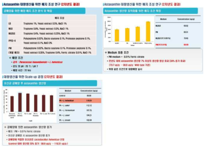 혼합배양에서 아스타잔틴 생산성 증가에 관한 연구 내용