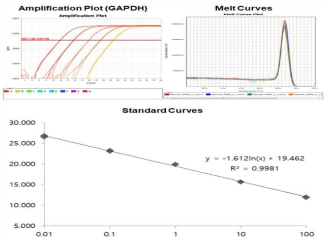 Amplification plot, melt curve and standard curve of mouse GAPDH gene (house keeping gene)