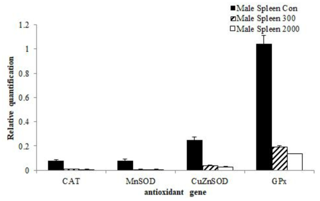 Transcription level of antioxidant genes such as CAT, CuZn-SOD, MnSOD, GPx with treated orally development feed additives from spleen of male ICR mice