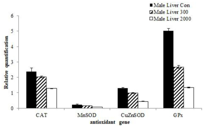 Transcription level of antioxidant genes such as CAT, CuZn-SOD, MnSOD, GPx with treated orally development feed additives from liver of male ICR mice