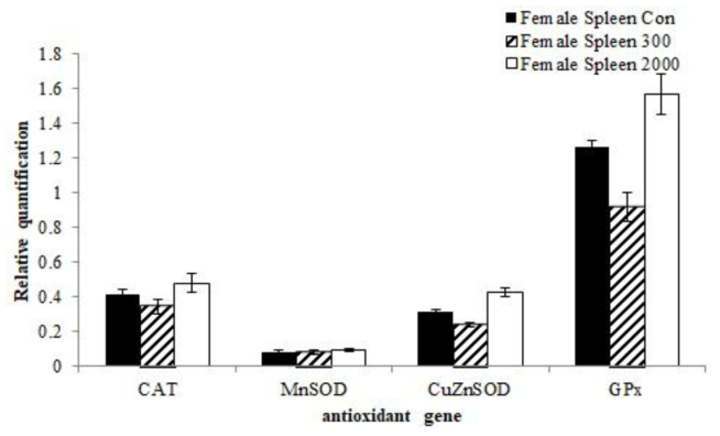 Transcription level of antioxidant genes such as CAT, CuZn-SOD, MnSOD, GPx with treated orally development feed additives from spleen of female ICR mice