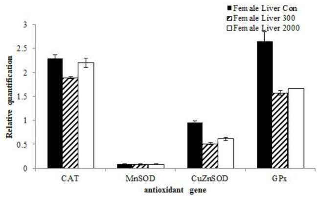 Transcription level of antioxidant genes such as CAT, CuZn-SOD, MnSOD, GPx with treated orally development feed additives from liver of female ICR mice