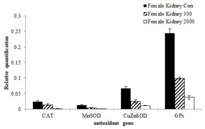 Transcription level of antioxidant genes such as CAT, CuZn-SOD, MnSOD, GPx with treated orally development feed additives from kidney of female ICR mice