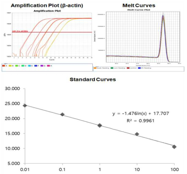 Amplification plot, melt curve and standard curve of β-actin gene (house keeping gene) from Pagrus major