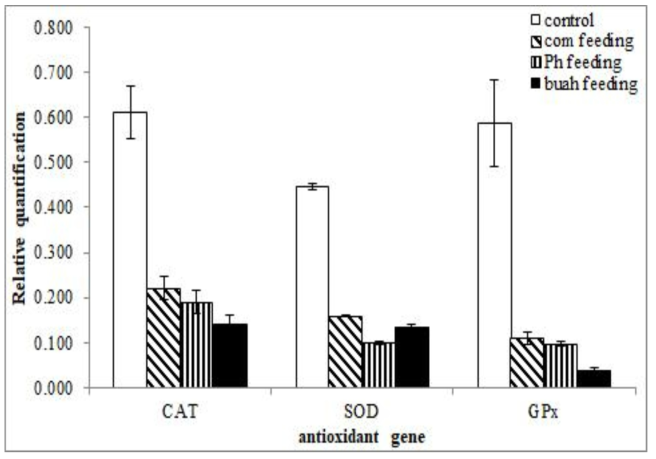 Transcription level of antioxidant genes such as CAT, SOD and GPx with developed feed additives from hemocytes of Pagrus major